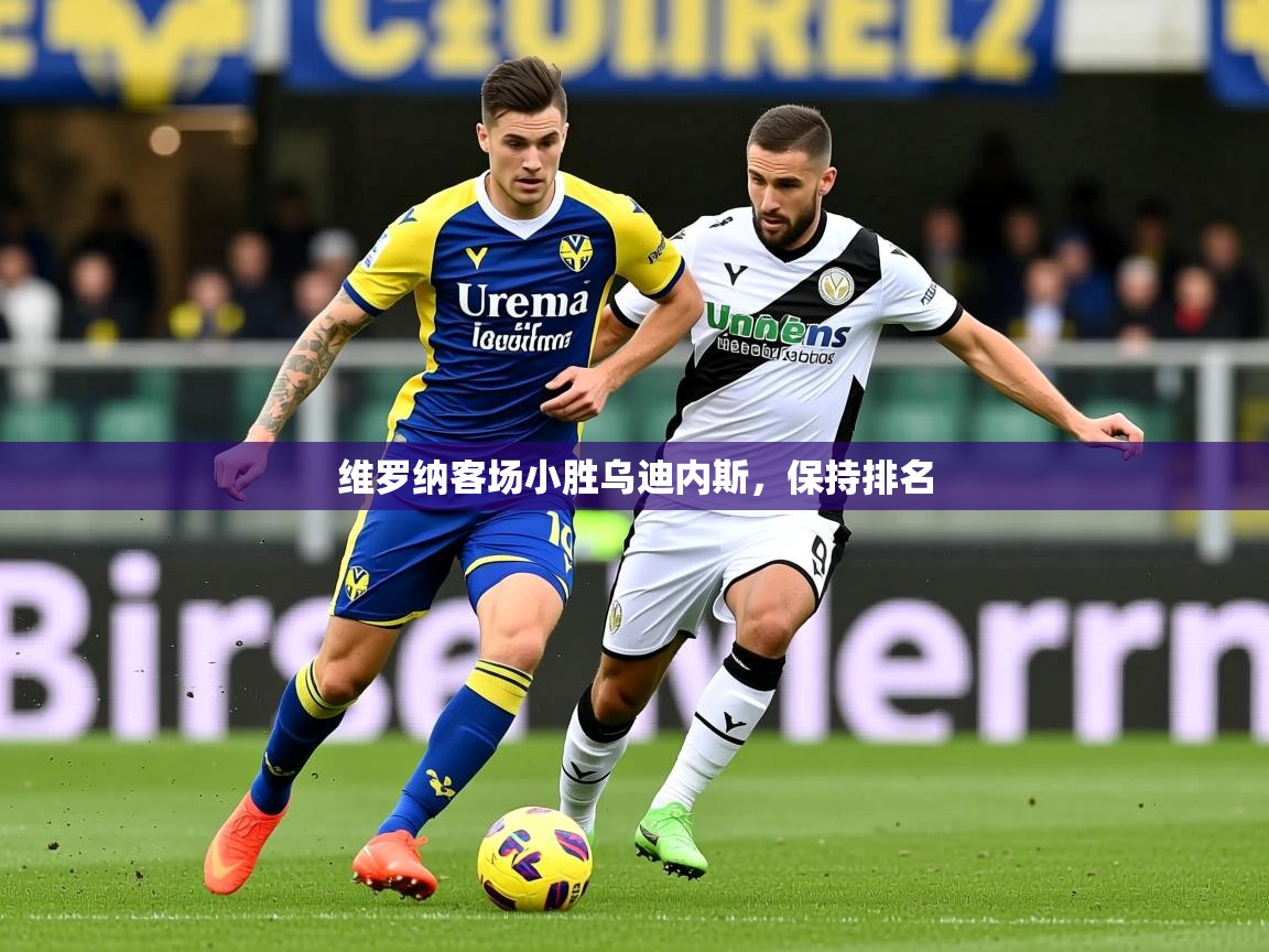 2025乐鱼体育入口登录官网app维罗纳客场小胜乌迪内斯，保持排名